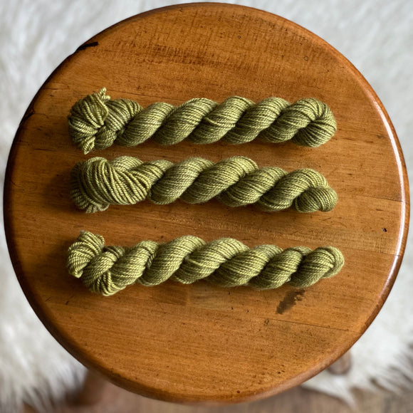 Loden (BFL DK mini skein)