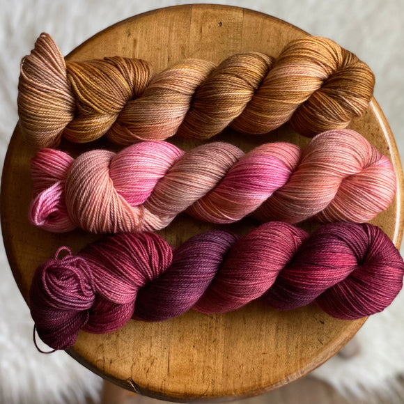 Dried Roses FADE (Solar Sock)