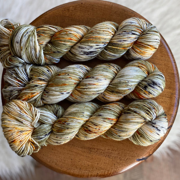 Home Is Where The Haunt Is (Solar Sock)