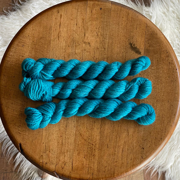 Lakeside Dreaming (Wormhole DK 20 gram mini skein)