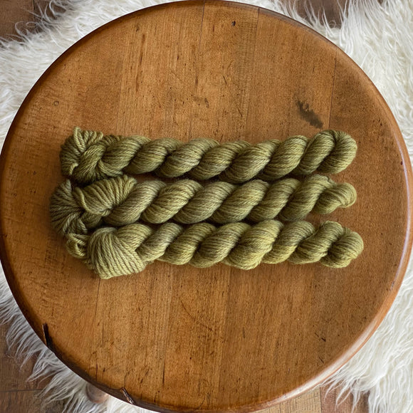 Loden (Wormhole DK 20 gram mini skein)